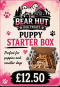 Puppy starter box