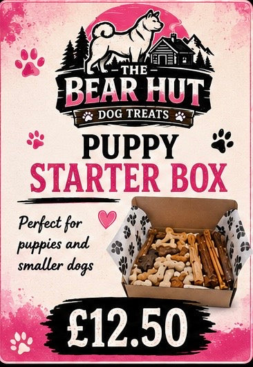 Puppy starter box