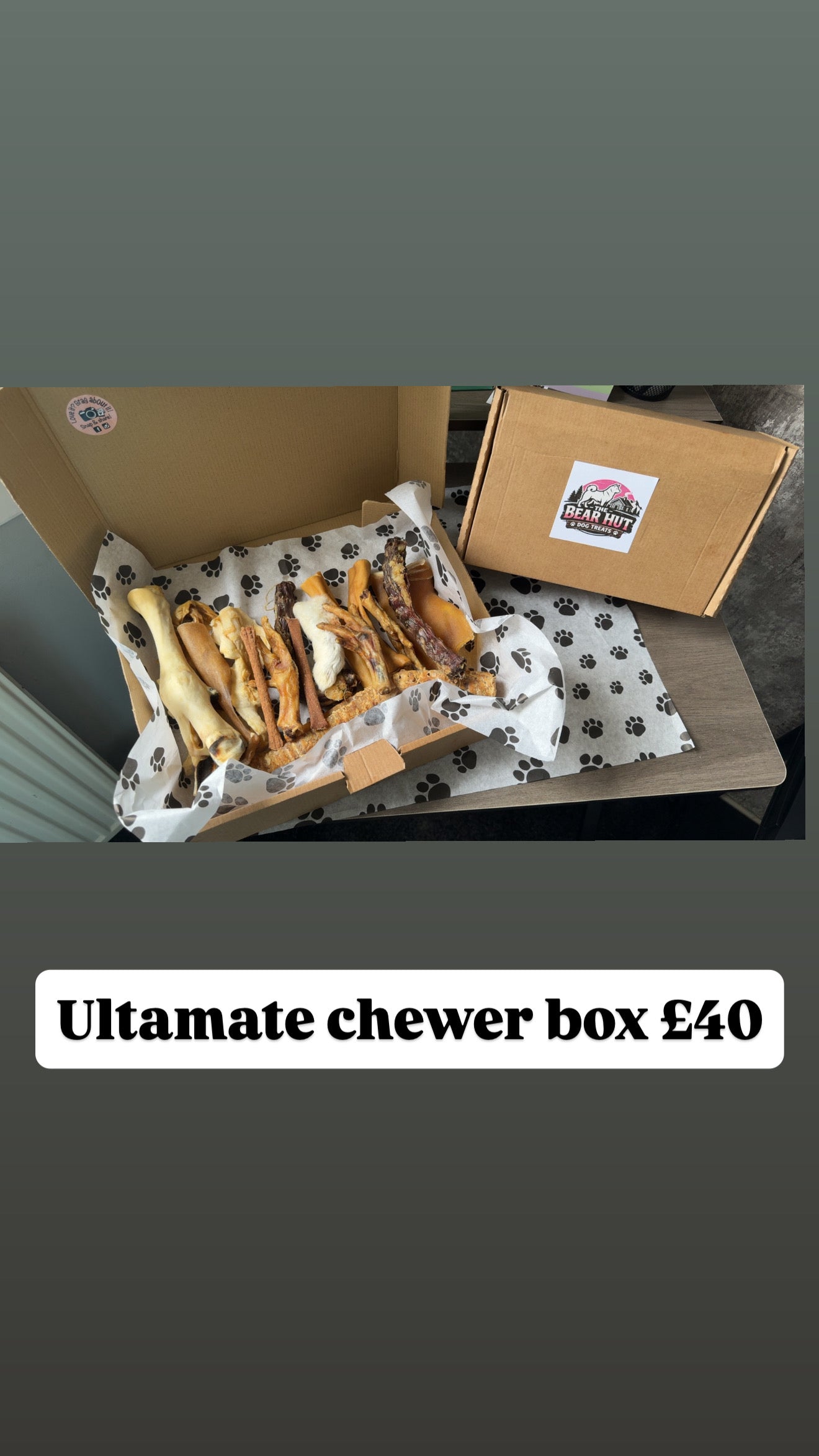 Ultimate Chewer Box