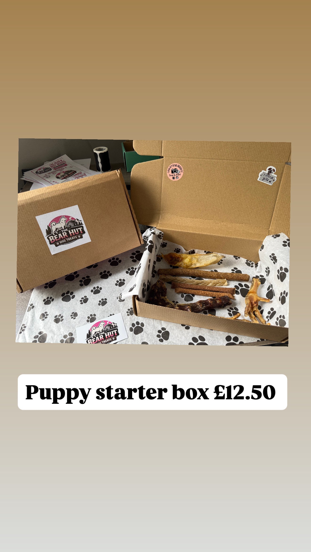 Puppy starter box