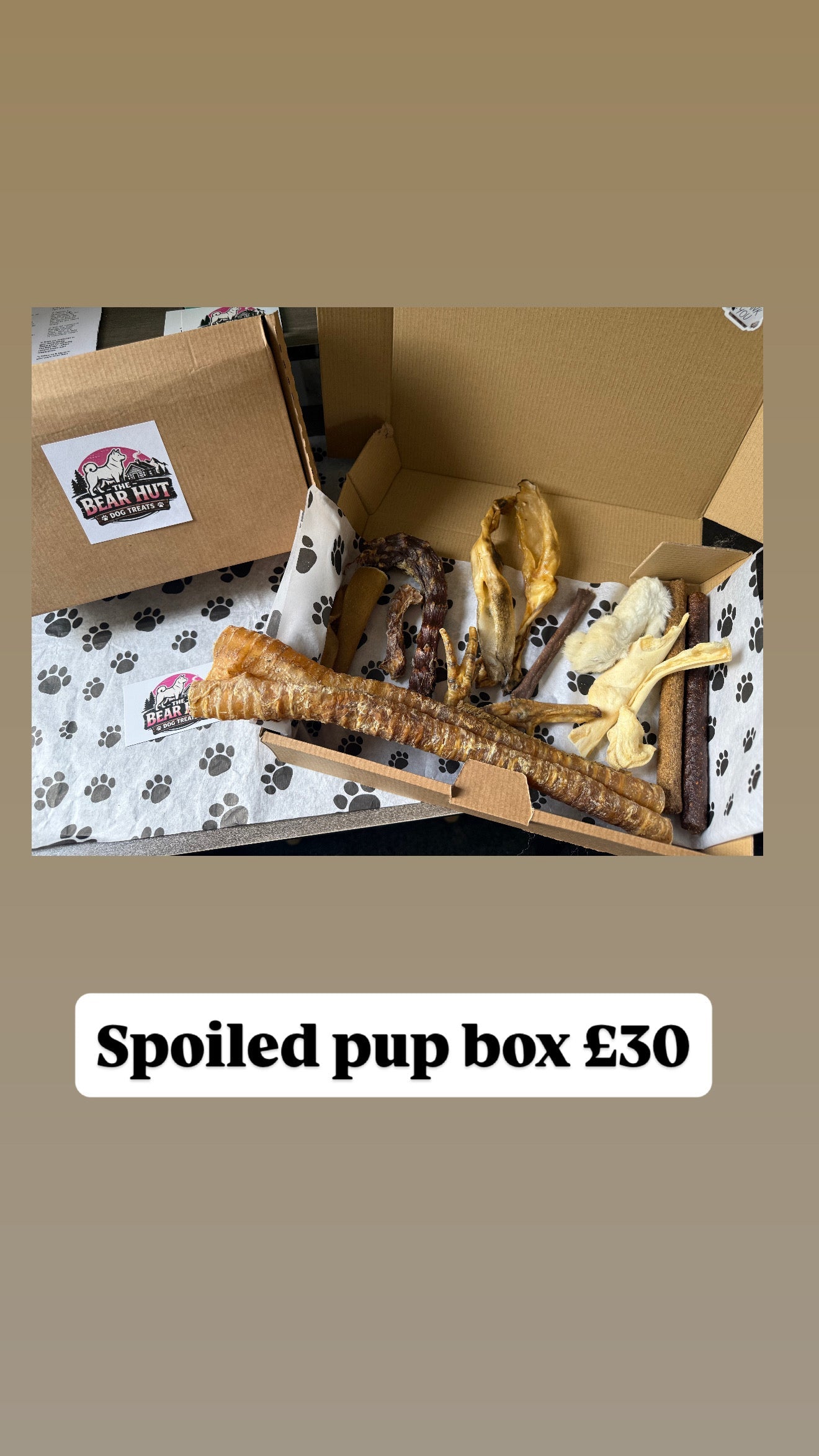 Spoiled Pup Box